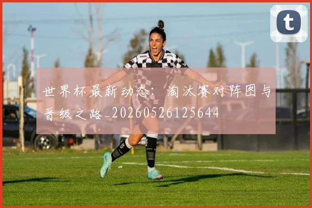 世界杯最新动态：淘汰赛对阵图与晋级之路_20260526125644