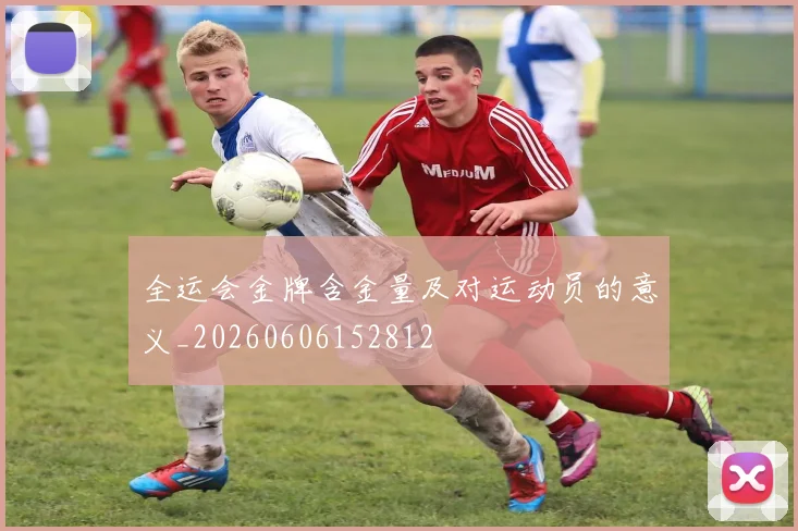 全运会金牌含金量及对运动员的意义_20260606152812