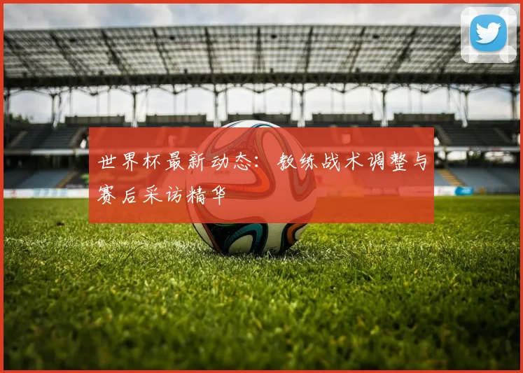 世界杯最新动态：教练战术调整与赛后采访精华